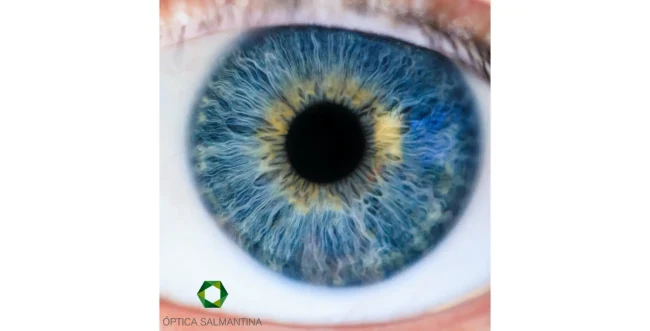 consejos salud visual